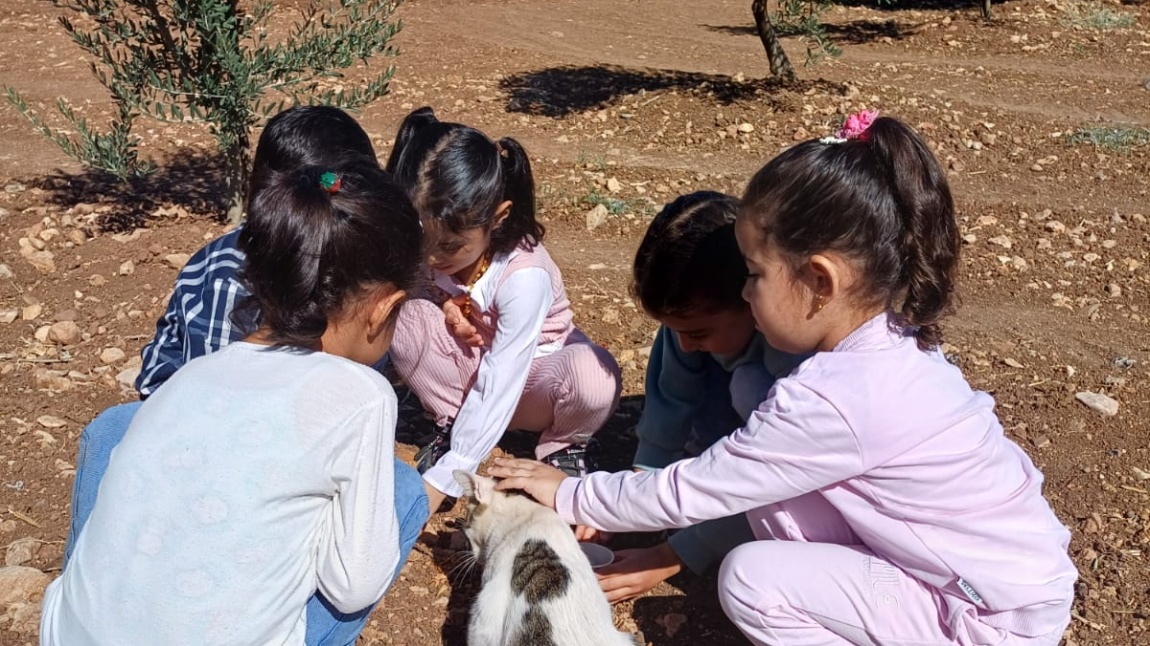 4 EKİM HAYVANLARI  KORUMA GÜNÜ